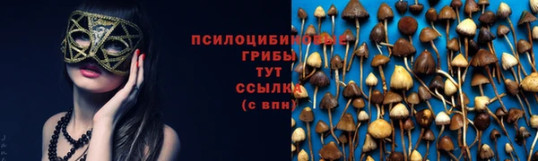 гидра Беломорск