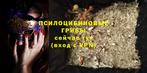 a pvp Белокуриха