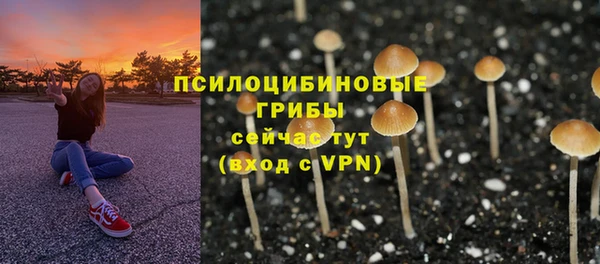 2c-b Белоозёрский