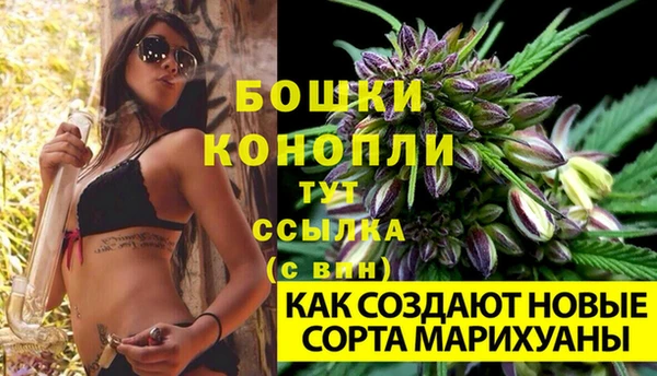 a pvp Белокуриха