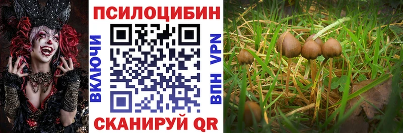 Псилоцибиновые грибы MAGIC MUSHROOMS Малмыж