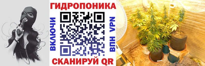 Бошки марихуана семена  купить наркотики цена  Малмыж 